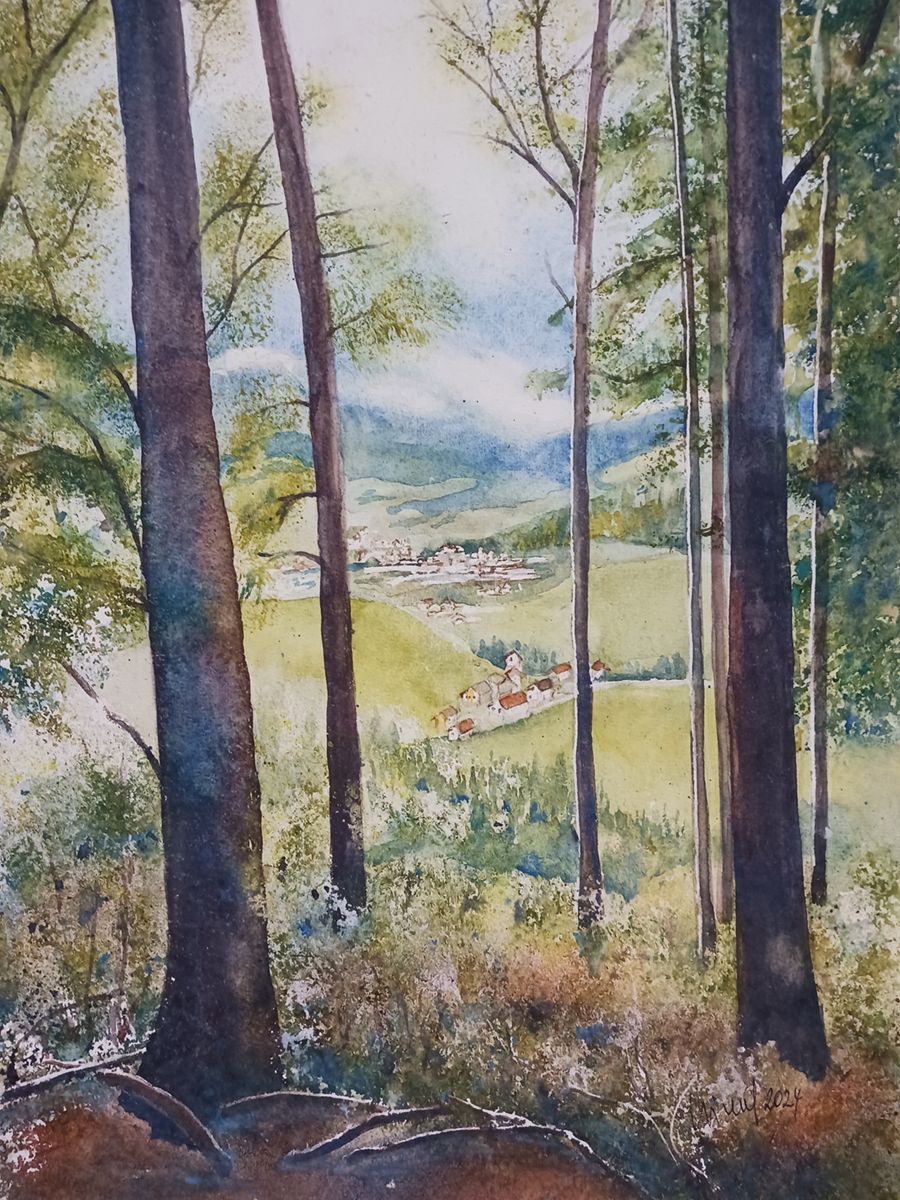 Nationalpark Kalkalpen, 2024, 32 x 45 cm, Ingrespapier