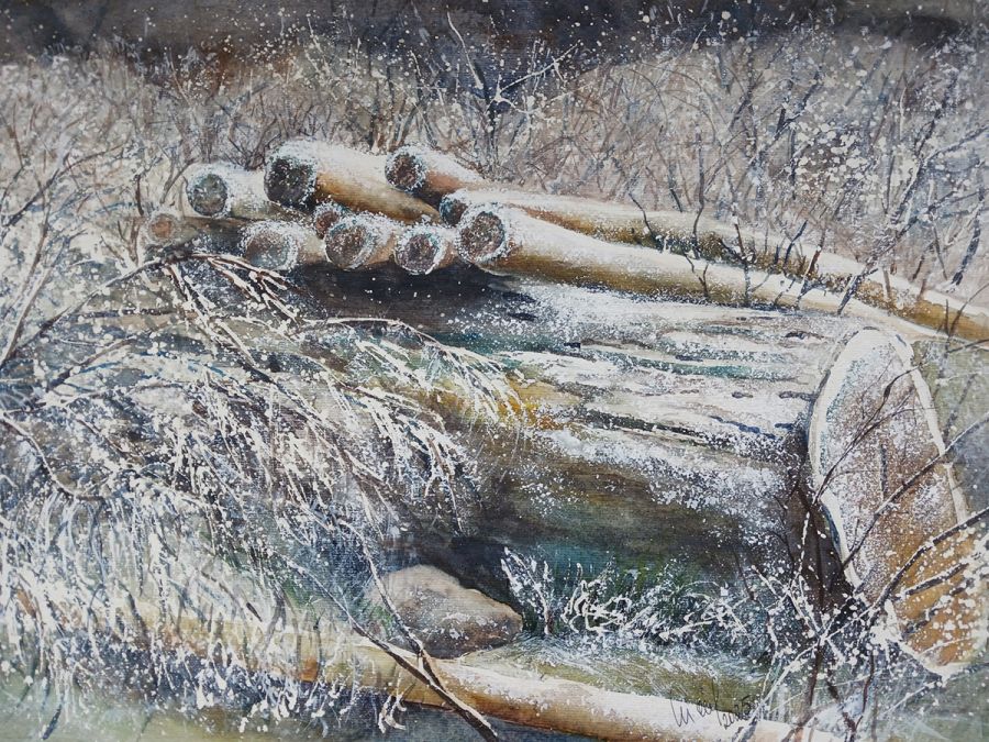 Rauhreif, 2025, 45 x 32 cm, Ingrespapier